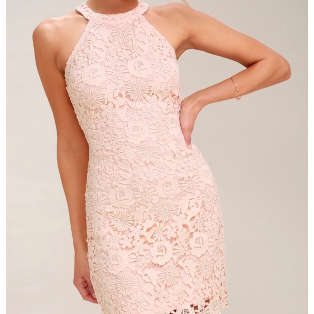Lulu’s Love Poem Blush Pink Lace Dress